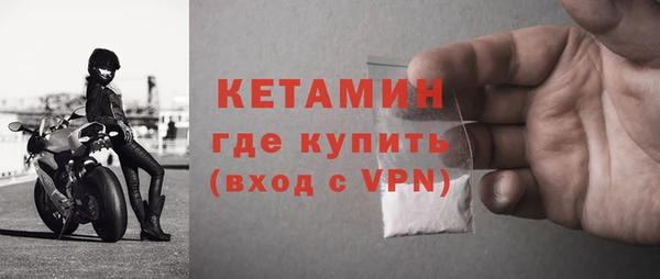 шишки Бородино