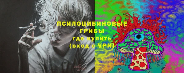 ГАЛЛЮЦИНОГЕННЫЕ ГРИБЫ Бронницы