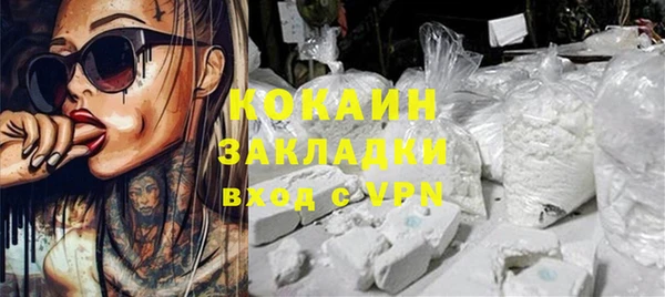 шишки Бородино