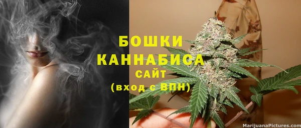 шишки Бородино