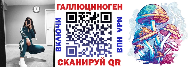 Купить  Бирюч  Галлюциногенные грибы Cubensis 